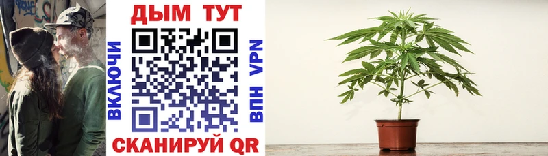 Купить Галлюциногенные грибы  МЕФ  КОКАИН  APVP  Унеча