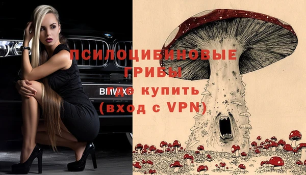 MESCALINE Дмитриев